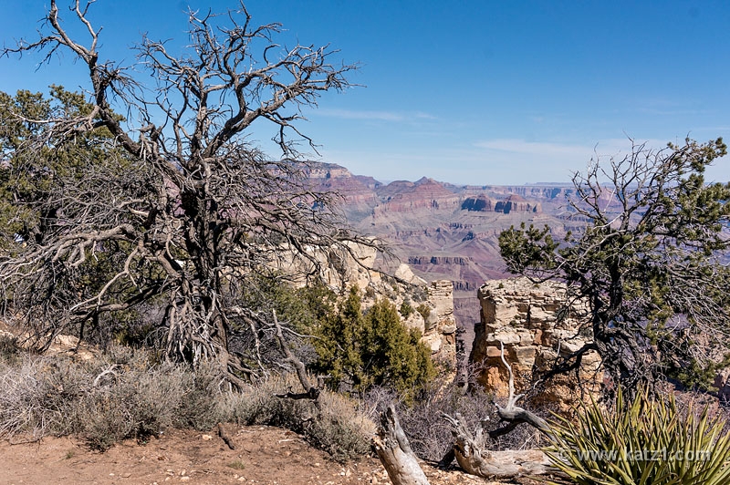  DSC1484-LR