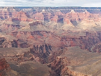 DSC2446