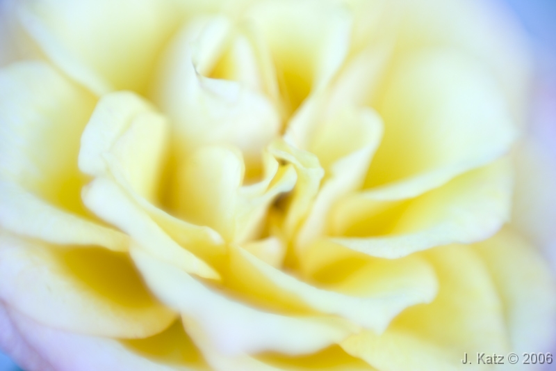 DSC_2863 